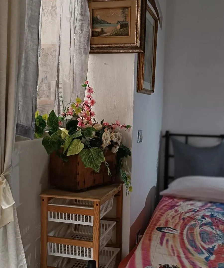 Apartament Miky House Arezzo 0*,
